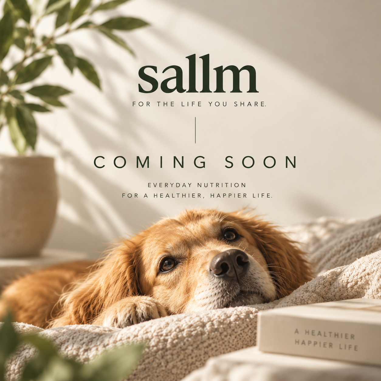 Sallm — For the life you share. Coming soon. A golden retriever resting on a cream blanket.
